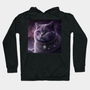 Glimmering British Shorthair Hoodie